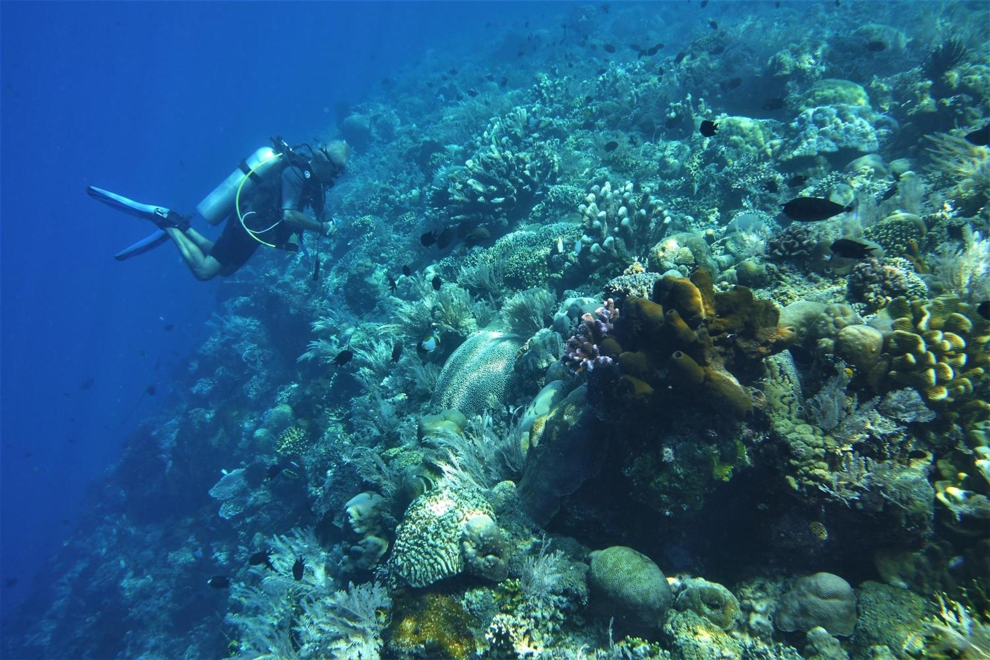 Bunaken Sea Garden Resort Exterior photo